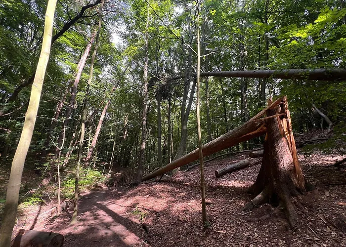 Cliff Апартаменты *