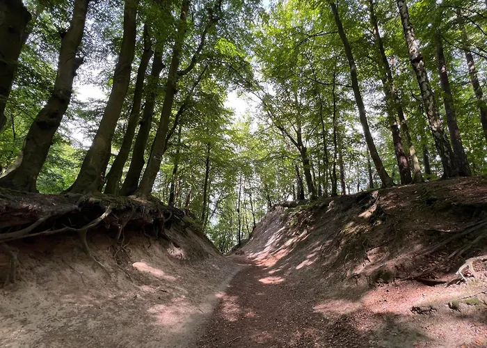 Апартаменты Cliff *